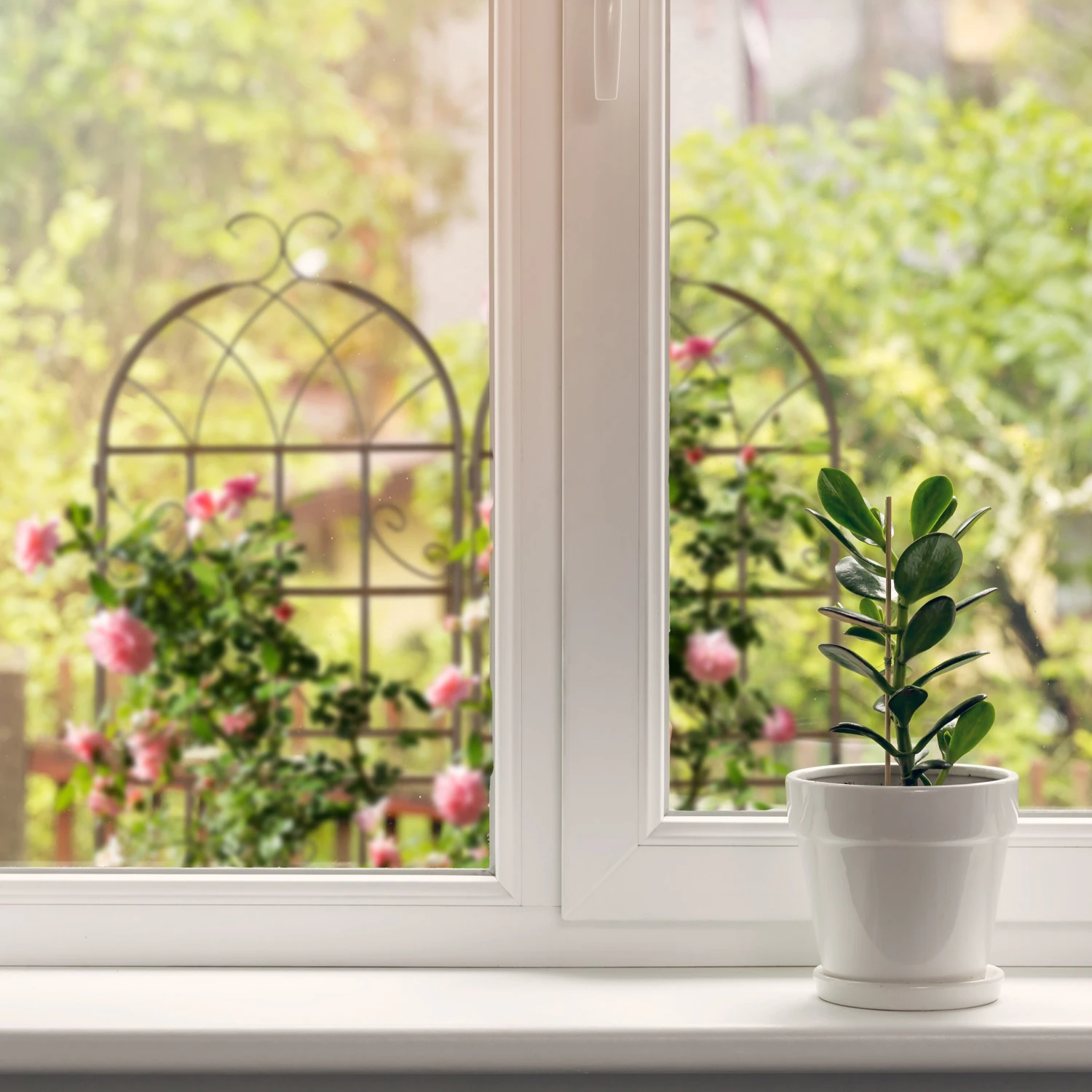 Relaxdays Rankgitter 2er Set 150 cm 6 Relaxdays Rankgitter 2er Set 150 cm – Bild 4