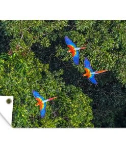 MuchoWow Outdoor-Poster 90x60 Dschungel - Baum