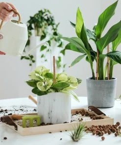 Relaxdays Pflanzstäbe 20 cm im 100er Set -Gartenaccessoires Verkäufe 2022 5a8666c6217e4aaa9e315dfa7222c7b2