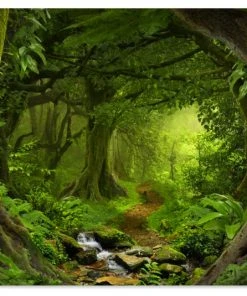 MuchoWow Outdoor-Poster 90x60 Dschungel -