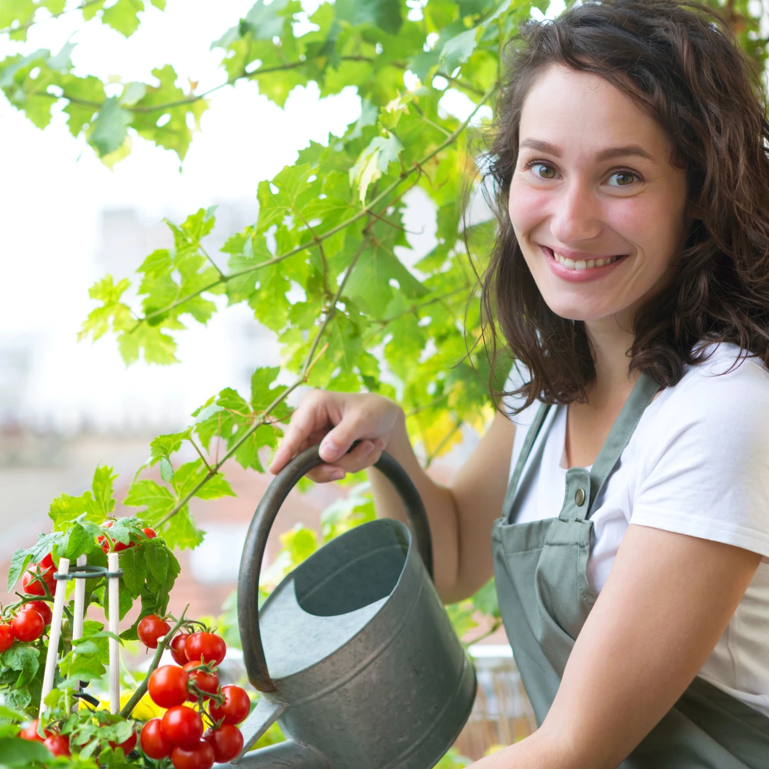 Relaxdays Pflanzenstab 30 cm im 50er Set 5 Relaxdays Pflanzenstab 30 cm im 50er Set – Bild 3