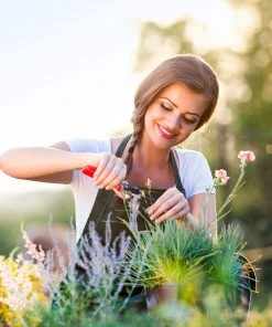 Relaxdays Rankkasten mit Rankgitter gebrannt - 36 x 90 x 36 cm -Gartenaccessoires Verkäufe 2022 612dfc9e9613445aac697d114e008395 1