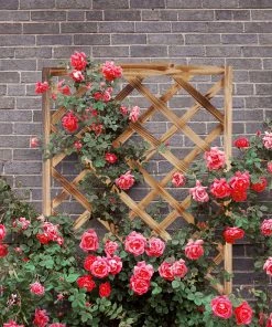 Relaxdays Rankkasten mit Rankgitter gebrannt - 36 x 90 x 36 cm -Gartenaccessoires Verkäufe 2022 628f41ca54684c4baffc51868668d24a