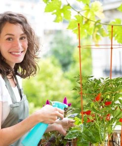 Relaxdays Orange Rankhilfe im 2er Set 76 cm -Gartenaccessoires Verkäufe 2022 66be1bc7f1ed41f0bcc9c6dd538ae1a8