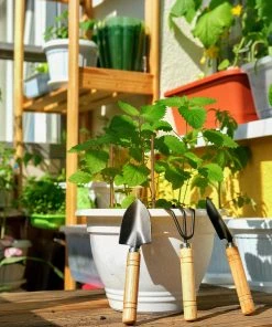 Relaxdays Pflanzstäbe 20 cm im 50er Set 13 Relaxdays Pflanzstäbe 20 cm im 50er Set -Gartenaccessoires Verkäufe 2022 698fb1c602f24e77b75044569a61110f