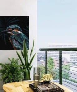 MuchoWow Outdoor-Poster 50x50 Eisvogel - Vogel -Gartenaccessoires Verkäufe 2022 6ab62eadd1864a3da2c07ec039dada4d