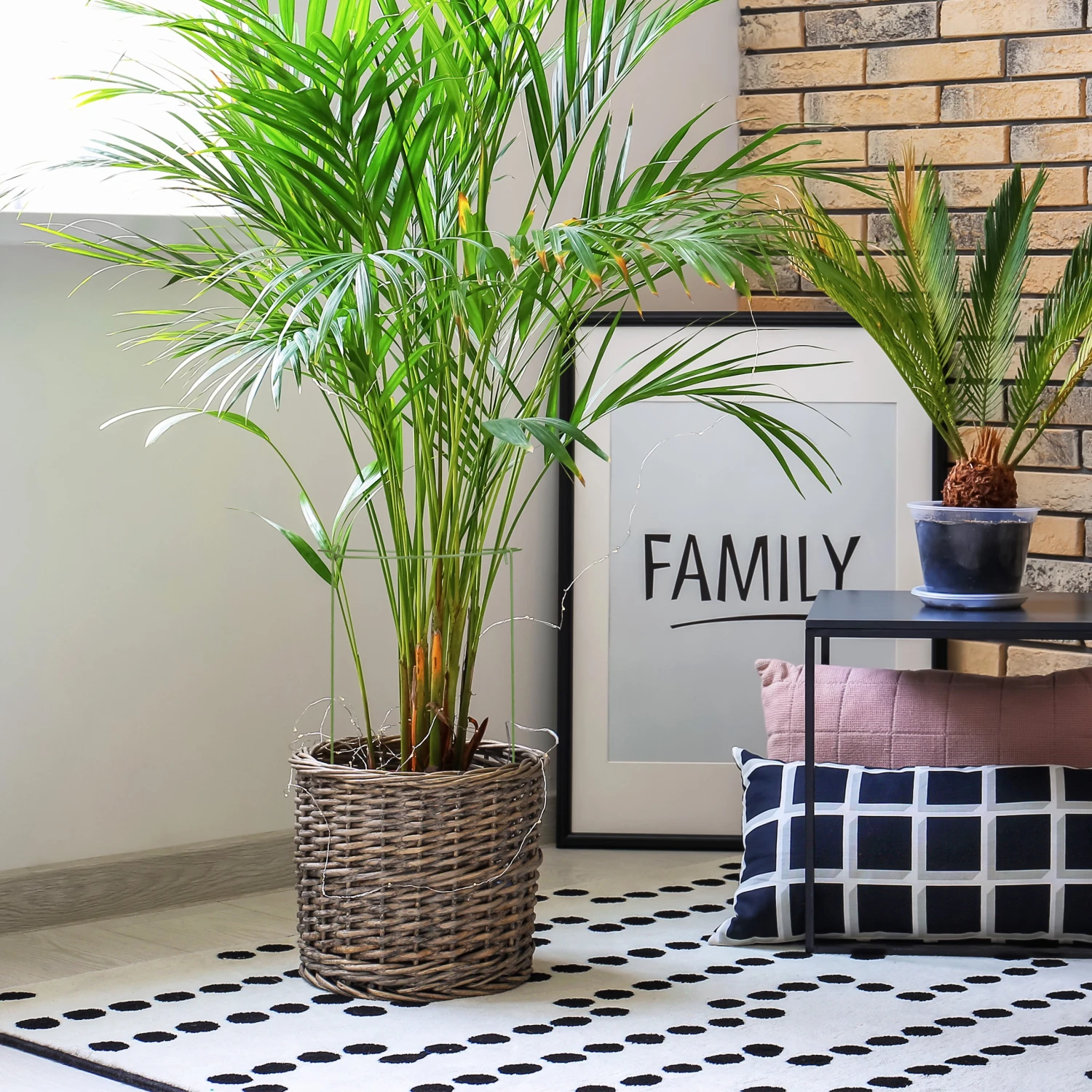 Relaxdays Pflanzenstütze 4er Set 6 Relaxdays Pflanzenstütze 4er Set – Bild 4