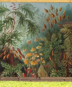 MuchoWow Outdoor-Poster 200x200 Muscinae - -Gartenaccessoires Verkäufe 2022 6d088de42c464d19b7eb4b570dcd2347