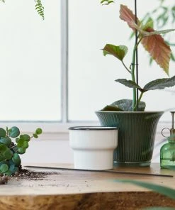 Relaxdays Schwarze Pflanzstäbe 90 cm 50er Set -Gartenaccessoires Verkäufe 2022 6dad5163f2574589917ed788d6ce3341