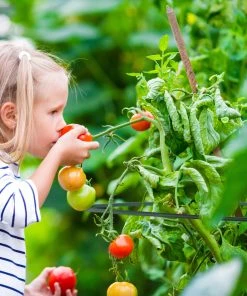 Relaxdays Rankhilfe 12er Set 11 Relaxdays Rankhilfe 12er Set -Gartenaccessoires Verkäufe 2022 6df4f5b8a99c4b6580feb80f9aadd1d6