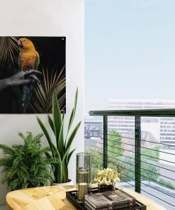 MuchoWow Outdoor-Poster 50x50 Vogel - Papagei -Gartenaccessoires Verkäufe 2022 7153b175589c4d07a5b0e67e03ad08f1