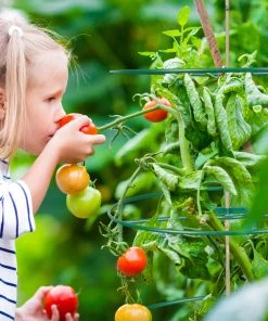 Relaxdays Staudenringe 30 cm 6er Set -Gartenaccessoires Verkäufe 2022 7428f00d9192457ca079d3da94bea182