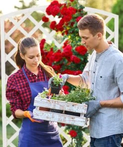 Relaxdays Rankkasten Holz in Weiß 12 Relaxdays Rankkasten Holz in Weiß -Gartenaccessoires Verkäufe 2022 76c965e533e2410fae0882f57494fe5d