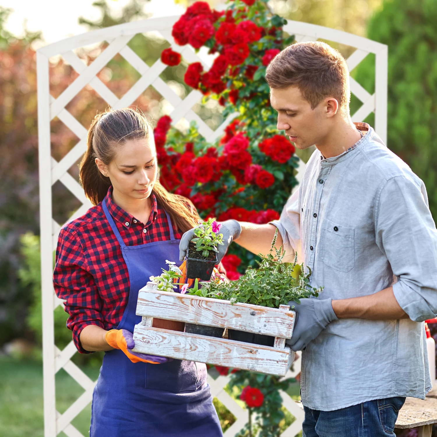 Relaxdays Rankkasten Holz in Weiß 5 Relaxdays Rankkasten Holz in Weiß – Bild 3