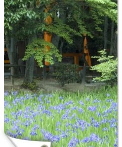 MuchoWow Outdoor-Poster 100x200 Japanische