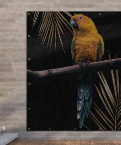 MuchoWow Outdoor-Poster 200x200 Vogel - -Gartenaccessoires Verkäufe 2022 7ade6b93c89549709bccfbd447ae543e