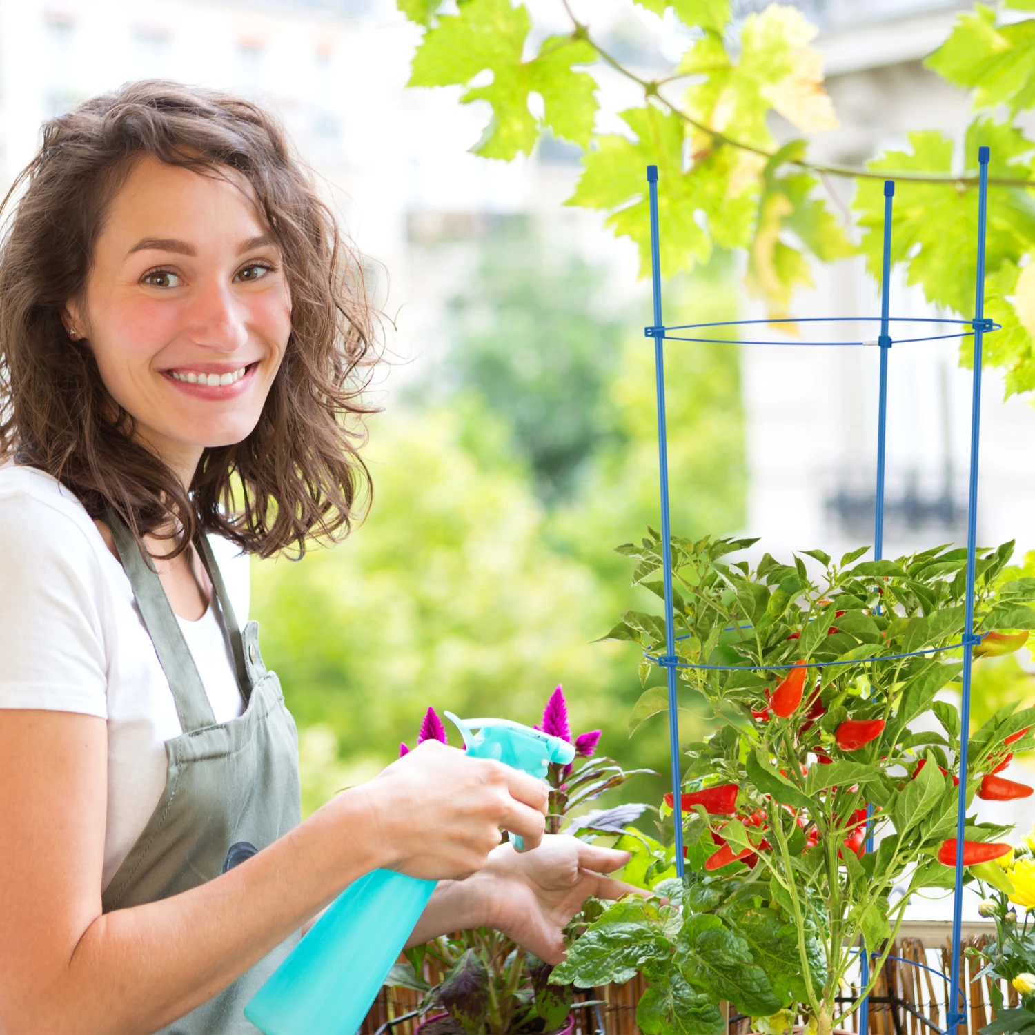 Relaxdays Blaue Rankhilfe im 2er Set 76 cm 6 Relaxdays Blaue Rankhilfe im 2er Set 76 cm – Bild 4