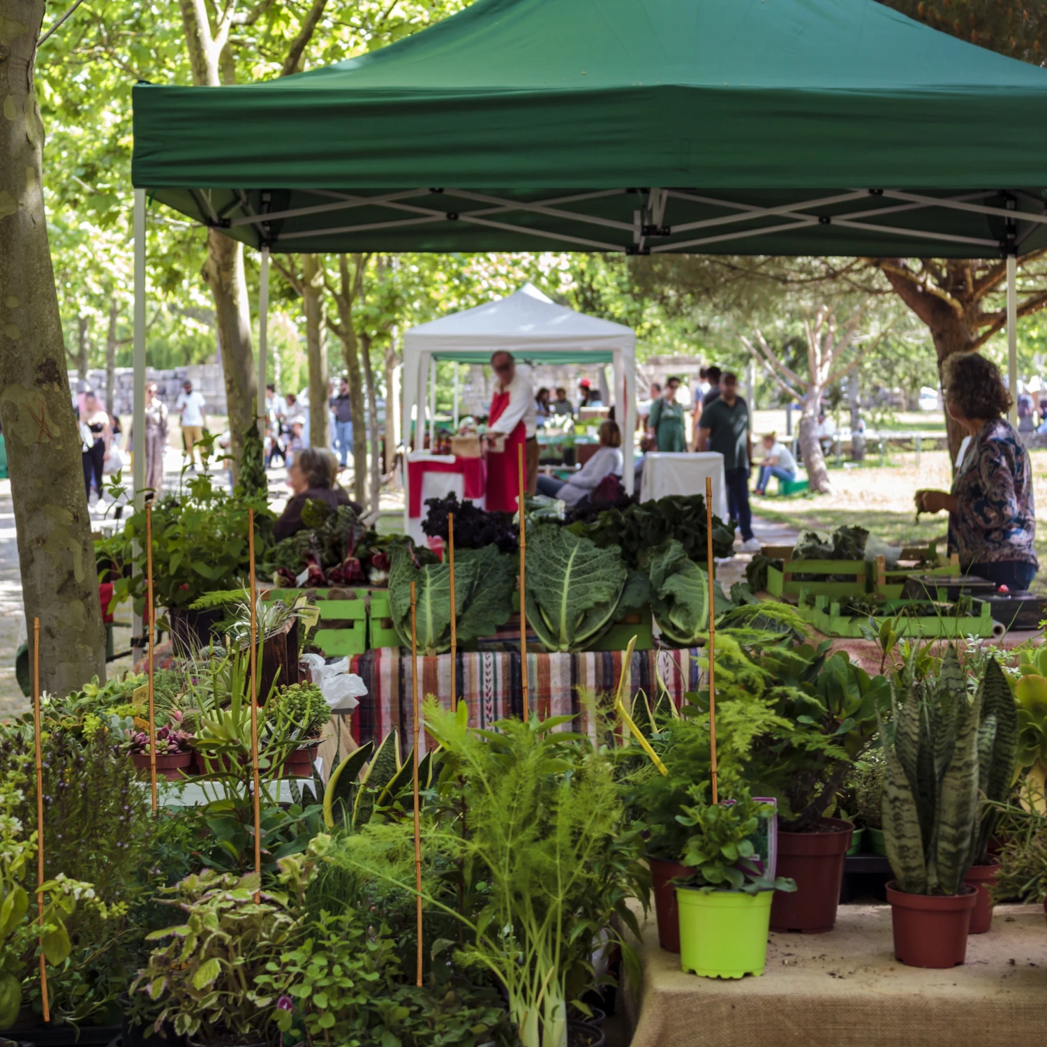 Relaxdays 25x Bambusstäbe 90 cm 5 Relaxdays 25x Bambusstäbe 90 cm – Bild 3