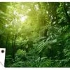 MuchoWow Outdoor-Poster 180x120 Dschungel -
