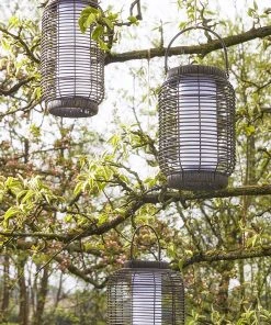 Luca Lighting Solar-Laterne Peak - 26 x 30 x 26 cm - Durchmesser: 26 cm 7 Luca Lighting Solar-Laterne Peak - 26 x 30 x 26 cm - Durchmesser: 26 cm -Gartenaccessoires Verkäufe 2022 8192d1bdac7842c498cd72cb67af4b65