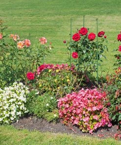 Relaxdays Rankhilfe 4er Set 60 cm -Gartenaccessoires Verkäufe 2022 8267ceb79a2045aaac12e3b2b0fd0ed3