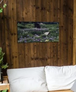 MuchoWow Outdoor-Poster 80x40 Japanische -Gartenaccessoires Verkäufe 2022 84679dcb287f4ef68a9b1eb274409d5e