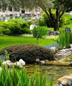 Relaxdays Rankhilfe Kugel 2er Set - 22 x 80 x 22 cm -Gartenaccessoires Verkäufe 2022 85736112dfc148868d5207a4674646eb