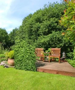 Relaxdays Rankgitter 2er Set 220 cm 12 Relaxdays Rankgitter 2er Set 220 cm -Gartenaccessoires Verkäufe 2022 85c16c24c3584c1084026c7b9384f47a