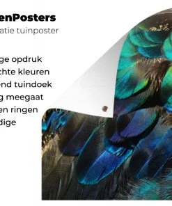 MuchoWow Outdoor-Poster 200x200 Federn - Pfau -Gartenaccessoires Verkäufe 2022 865642190dc541bea3d11c95c97f03f9.cropped 45 19 1455 962.processed