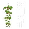 Relaxdays Rankhilfe 10er Set 1 Relaxdays Rankhilfe 10er Set -Gartenaccessoires Verkäufe 2022 8ee5960353c54927bf26b666c4e9c437
