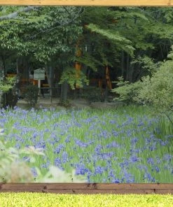 MuchoWow Outdoor-Poster 200x200 Japanische -Gartenaccessoires Verkäufe 2022 8eedc57f51364f57a29ec9a306d14b91