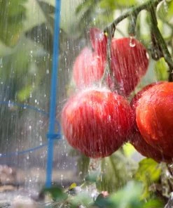 Relaxdays Blaue Rankhilfe im 6er Set 76 cm -Gartenaccessoires Verkäufe 2022 8f7c338204684f199f20fd4417eeaf4b 1