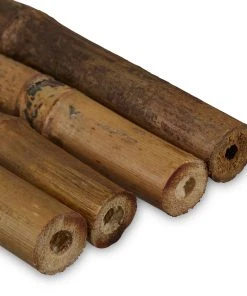 Relaxdays 50x Bambusstäbe 75 cm -Gartenaccessoires Verkäufe 2022 9111303135ca4d13929f6361ea0e54ff