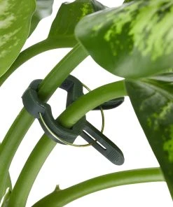 Relaxdays 2 x Pflanzenhalter Set 110-teilig -Gartenaccessoires Verkäufe 2022 938f02c70d384919937340ffe2b3a6e5 1