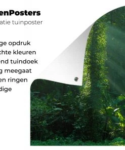 MuchoWow Outdoor-Poster 180x120 Dschungel - -Gartenaccessoires Verkäufe 2022 94fe5e64dedd4215b14cea091a60b8b7.cropped 45 19 1455 962.processed