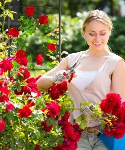 Relaxdays Vintage Rankgitter aus Metall 13 Relaxdays Vintage Rankgitter aus Metall -Gartenaccessoires Verkäufe 2022 95a6a84f5c9e4836a4443e5177d84ba5