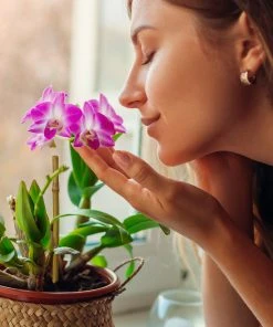 Relaxdays Pflanzstäbe 20 cm im 100er Set -Gartenaccessoires Verkäufe 2022 99de557d253f46d9b90e6632754e9796