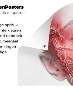 MuchoWow Outdoor-Poster 200x100 Frau - Weiß - -Gartenaccessoires Verkäufe 2022 9b1eb33d89bf4508a0d362025aa11cf1.cropped 45 24 1455 957.processed