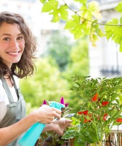 Relaxdays Pflanzenstütze 4er Set 12 Relaxdays Pflanzenstütze 4er Set -Gartenaccessoires Verkäufe 2022 9d36c208438a4cbcbd66f7f40fe17e24