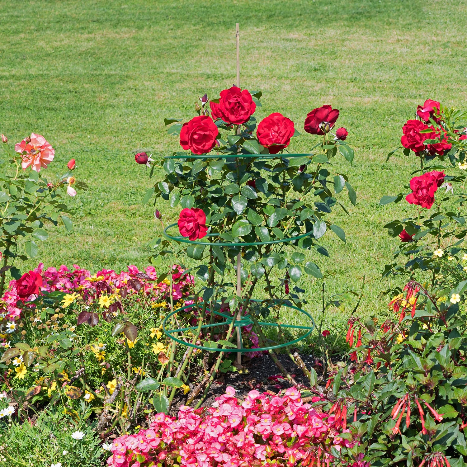 Relaxdays Staudenringe 39 cm 6er Set 6 Relaxdays Staudenringe 39 cm 6er Set – Bild 4