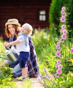 Relaxdays Eckige Rankhilfe aus Metall -Gartenaccessoires Verkäufe 2022 9f3d3b4e2dce4f68a96c44e0b7957dfa