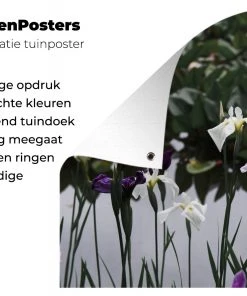 MuchoWow Outdoor-Poster 90x60 Japanische -Gartenaccessoires Verkäufe 2022 a138bc4e3d5c43fe882928a9fb8c7255.cropped 45 19 1455 962.processed