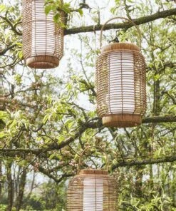 Gartenaccessoires Verkäufe 2022 -Gartenaccessoires Verkäufe 2022 a93db3f082924affa6c01b817ca124e0