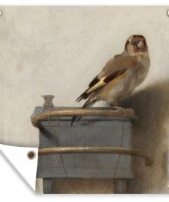 MuchoWow Outdoor-Poster 100x100 Der Stieglitz