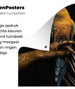 MuchoWow Outdoor-Poster 200x200 Vogel - -Gartenaccessoires Verkäufe 2022 a9ceb7949c6e4b2ba97dc6741b0a1b01.cropped 45 19 1455 962.processed