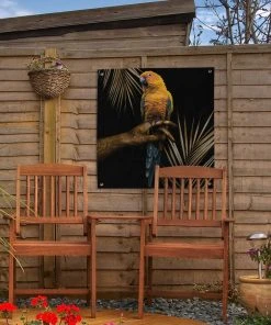 MuchoWow Outdoor-Poster 50x50 Vogel - Papagei -Gartenaccessoires Verkäufe 2022 a9f8af363ec04ba6af85c3654c54ff60