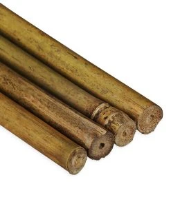 Relaxdays Pflanzstäbe 20 cm im 100er Set -Gartenaccessoires Verkäufe 2022 aa6676dba99b4380ba61242cc410637f