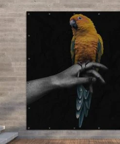 MuchoWow Outdoor-Poster 200x200 Vogel - -Gartenaccessoires Verkäufe 2022 b0418438e8754b42a26eb52dc2ca3762