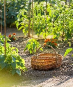 Relaxdays 50x Bambusstäbe 75 cm -Gartenaccessoires Verkäufe 2022 b042c373c88541ff882d86b6d4cc729c