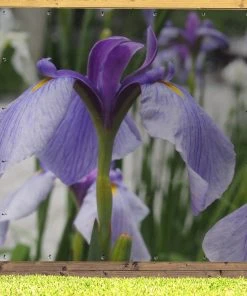 MuchoWow Outdoor-Poster 200x200 Japanische -Gartenaccessoires Verkäufe 2022 b2014aac767541288e4b829f31d9f6b4